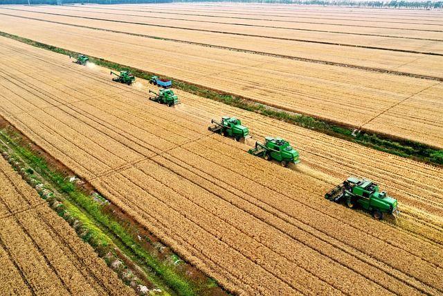 Puglia Sviluppo al tavolo di lavoro  “Il ruolo delle filiere agricole nella transizione energetica”